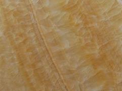 HONEY ONYX
