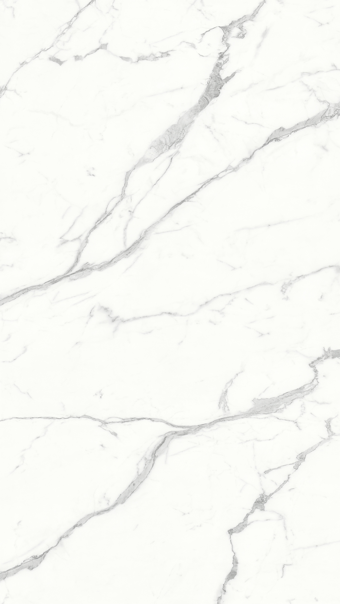 Deer (High Gloss Finish), Single Side